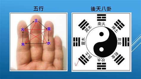 文王卦課程|文王卦形態新論基礎班